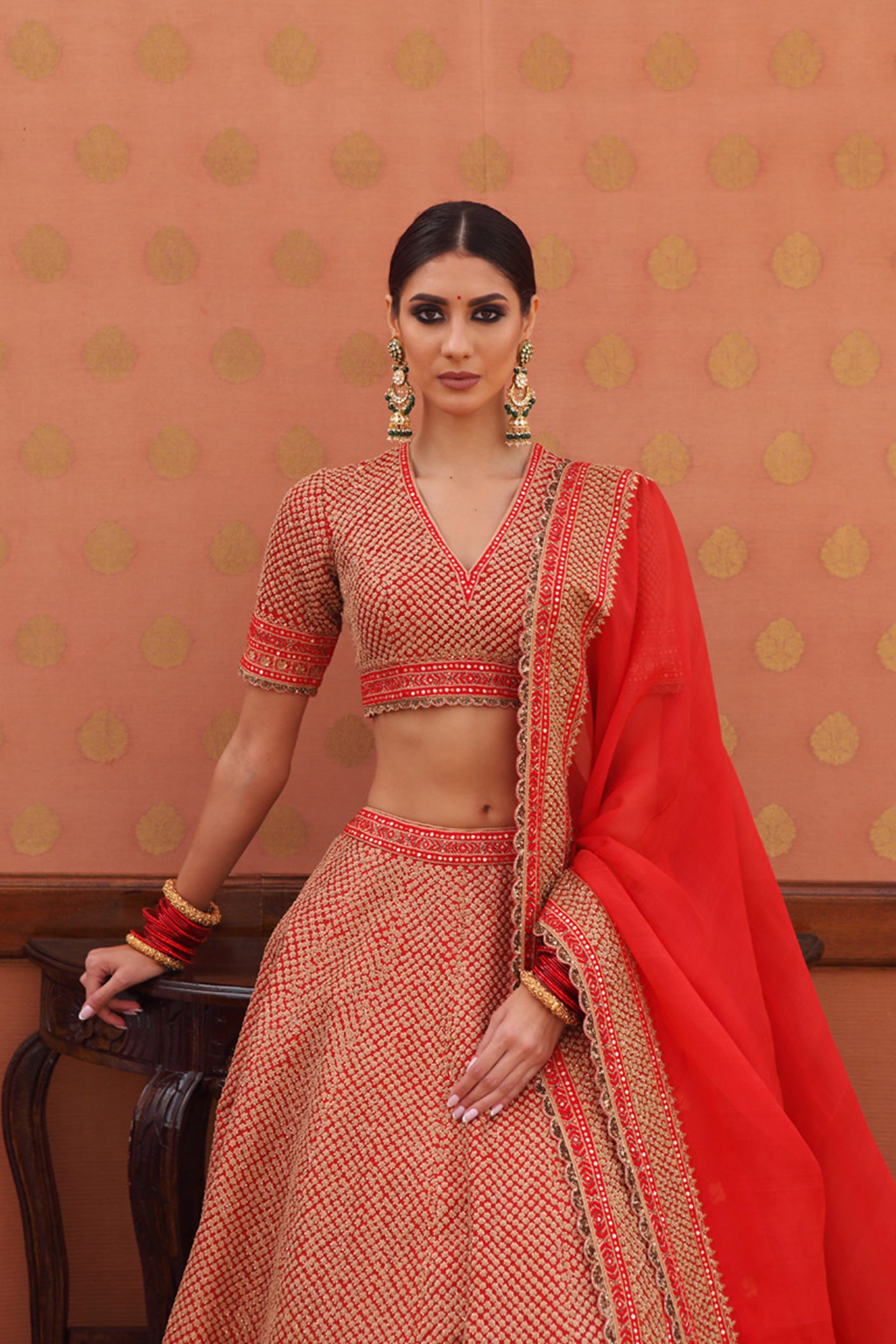 Hand-Embroidered Pure Silk-Organza Sinduri-Red Lehenga-Set