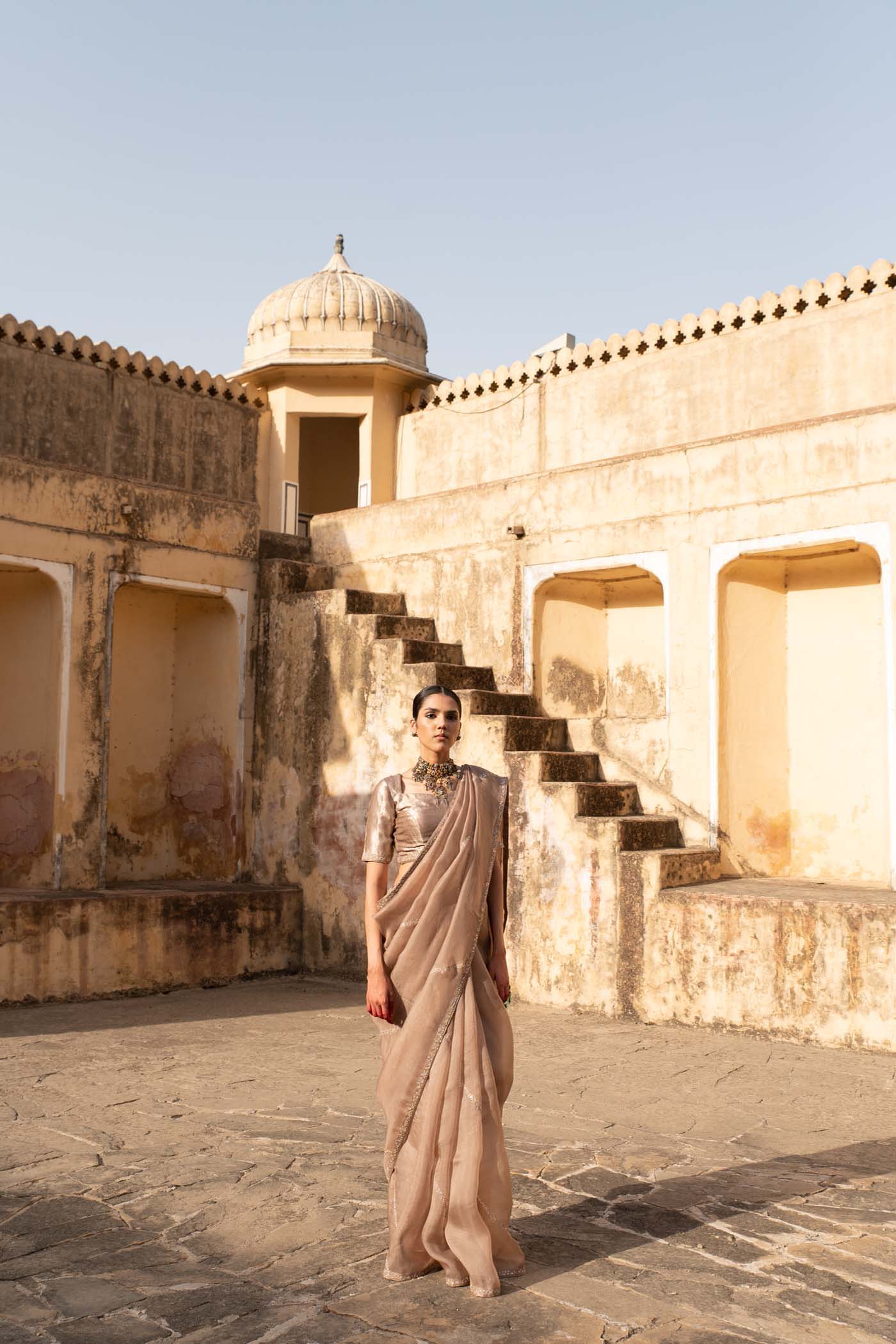 A Sand-Beige Hand-Embroidered Pure Silk-Organza Saree With Pure Brocade Blouse Set