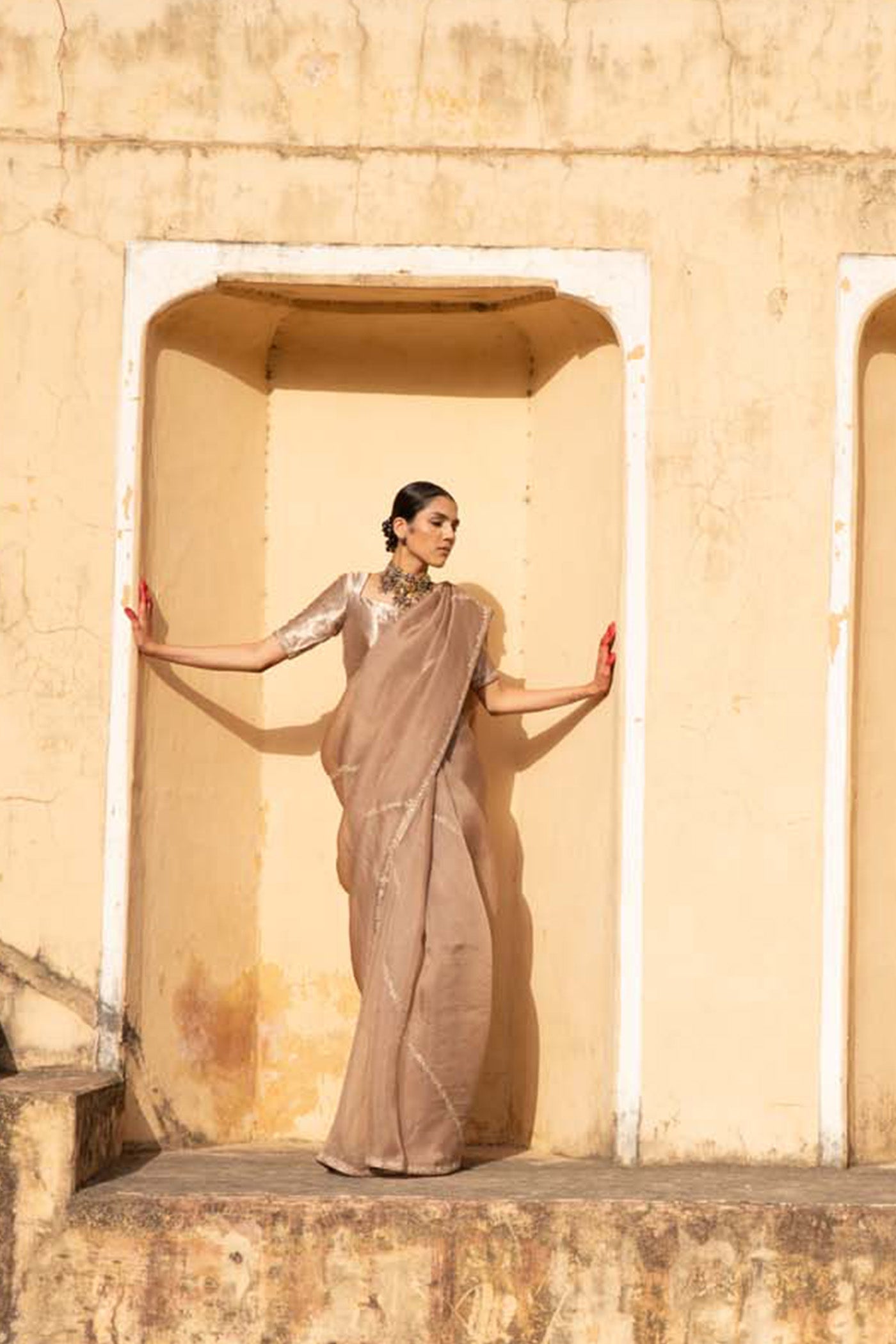 A Sand-Beige Hand-Embroidered Pure Silk-Organza Saree With Pure Brocade Blouse Set