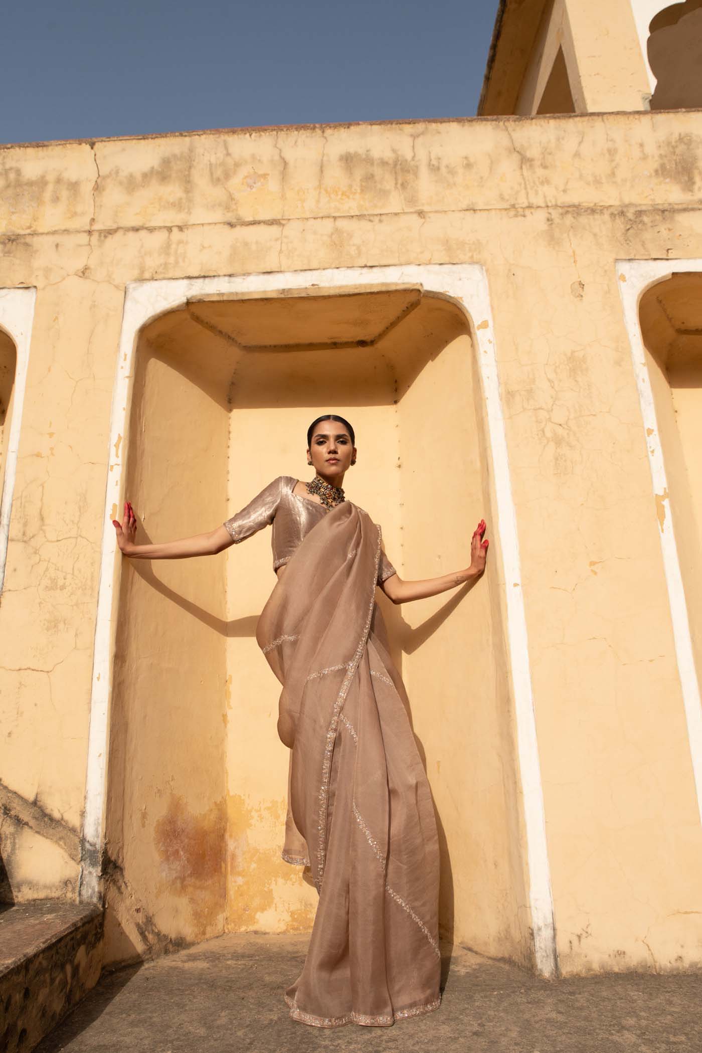 A Sand-Beige Hand-Embroidered Pure Silk-Organza Saree With Pure Brocade Blouse Set