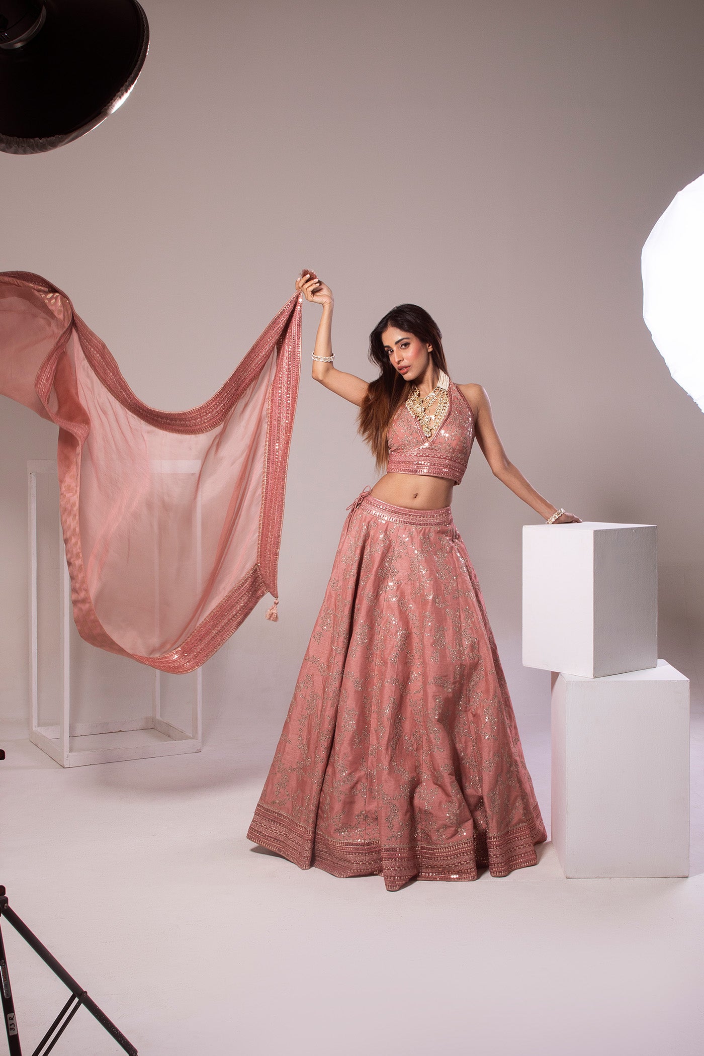 Priya Banerjee in Dusty-Pink Embroidered Raw-Silk Lehenga- Set With Pure Crepe-Silk Blouse & Pure Silk- Organza Dupatta